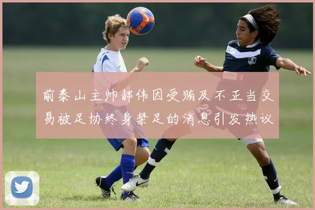 前泰山主帅郝伟因受贿及不正当交易被足协终身禁足的消息引发热议