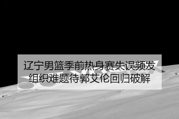 辽宁男篮季前热身赛失误频发 组织难题待郭艾伦回归破解 - Leyu
